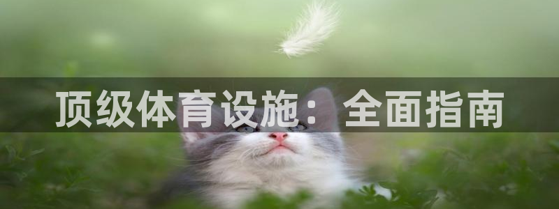 意昂体育3平台APP：顶级体育设施：全面指南