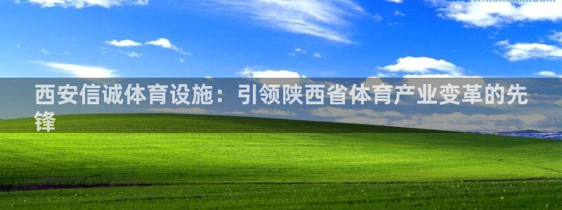 意昂3代理：西安信诚体育设施：引领陕西省体育产业变革