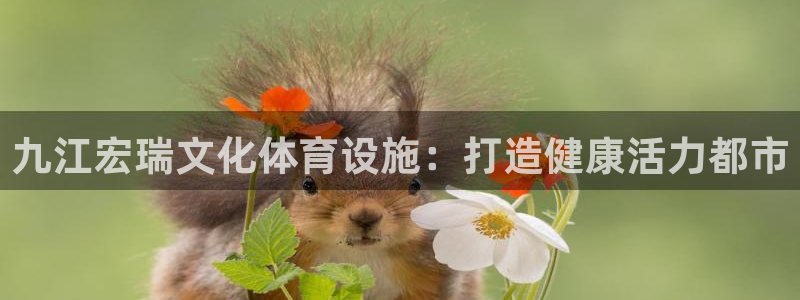 意昂3娱乐首页网站大全：九江宏瑞文化体育设施：打造健