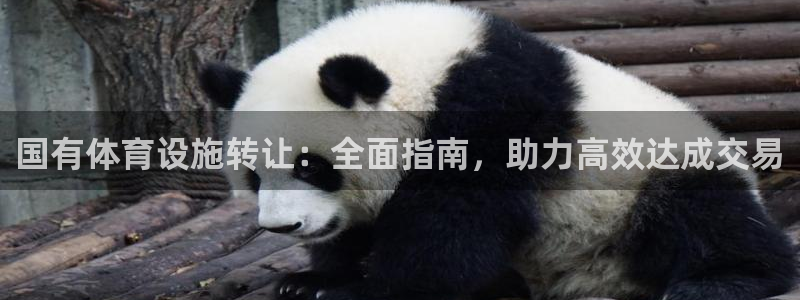 意昂3娱乐首页网站大全：国有体育设施转让：全面指南，