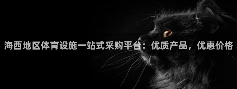 意昂体育3招商：海西地区体育设施一站式采购平台：优质