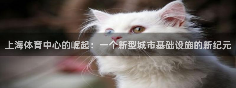 意昂体育3招商电话