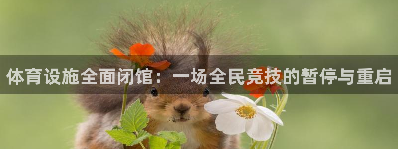 意昂3娱乐代理怎么样