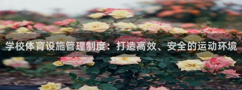 意昂3娱乐是那个系列的台子