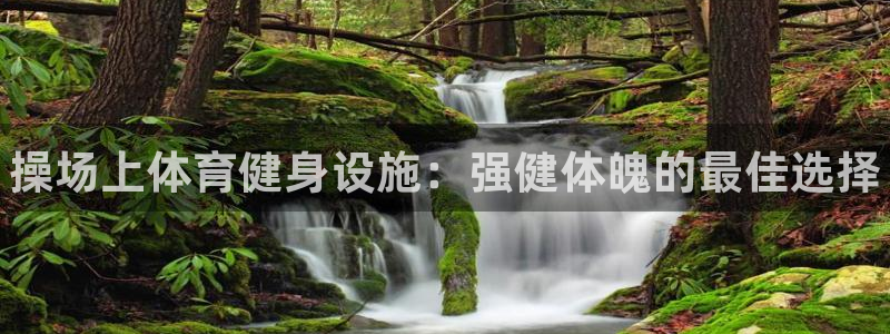 意昂体育3平台注册流程图：操场上体育健身设施：强健体