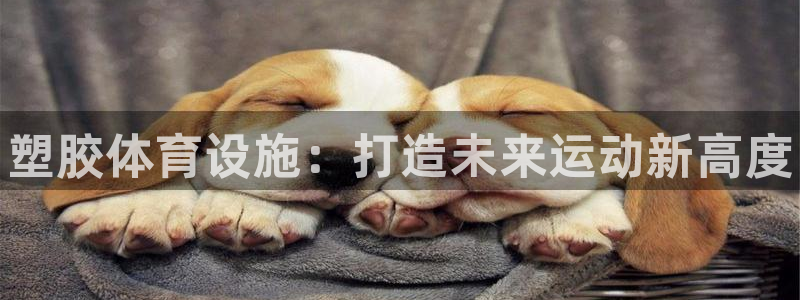 意昂3娱乐首页网站大全