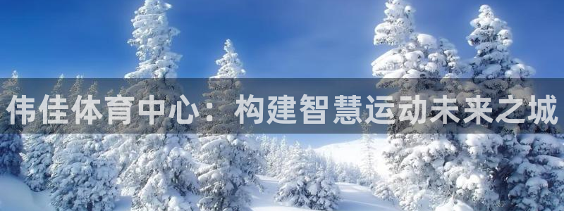 意昂体育3联系电话：伟佳体育中心：构建智慧运动未来之城