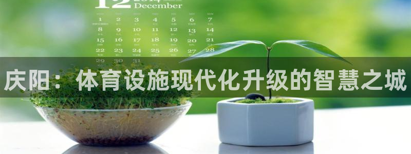 意昂3集团官网首页网址：庆阳：体育设施现代化升级的智慧之城