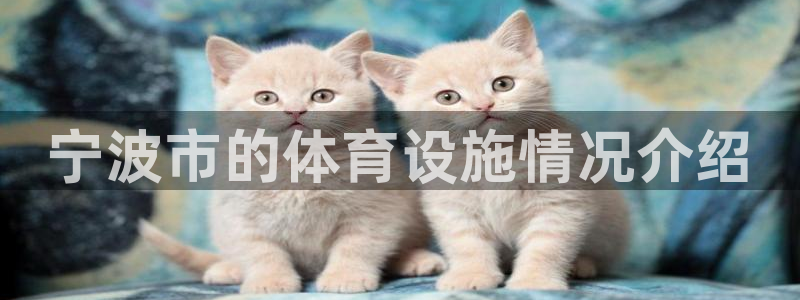 意昂体育3软件：宁波市的体育设施情况介绍