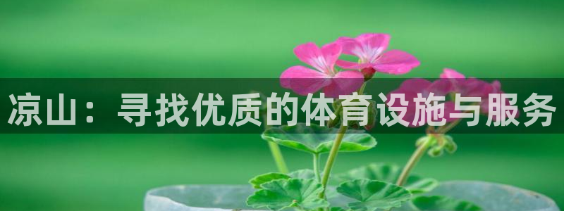 意昂3神州：凉山：寻找优质的体育设施与服务