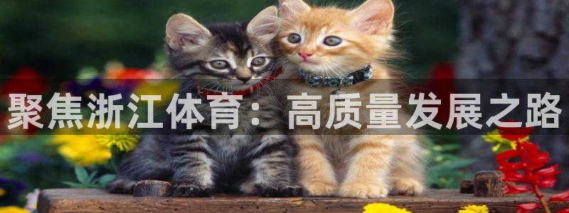 意昂体育3平台是正规平台吗：聚焦浙江体育：高质量发展之路 