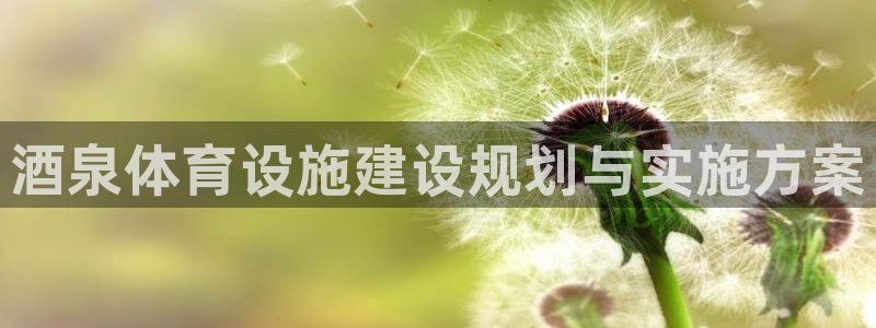 意昂3新能源：酒泉体育设施建设规划与实施方案